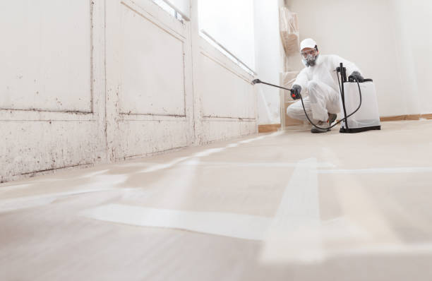 24/7 Emergency Mold Remediation experts in Parsippany, NJ